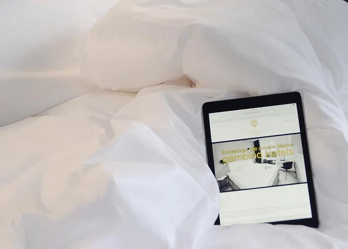 Gambino Cincinnati 3*